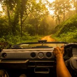 Tadoba Andhari National Park Safari Booking