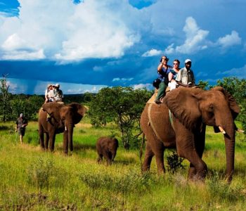 elephant-reserves-in-india