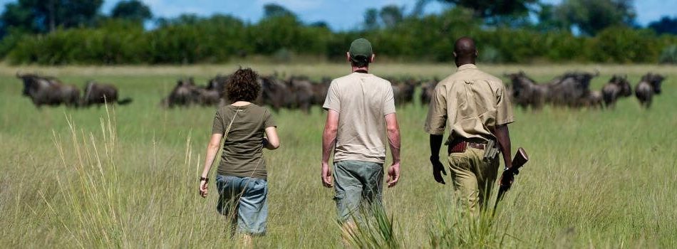 African_Safari_Walking_Safari-960x350